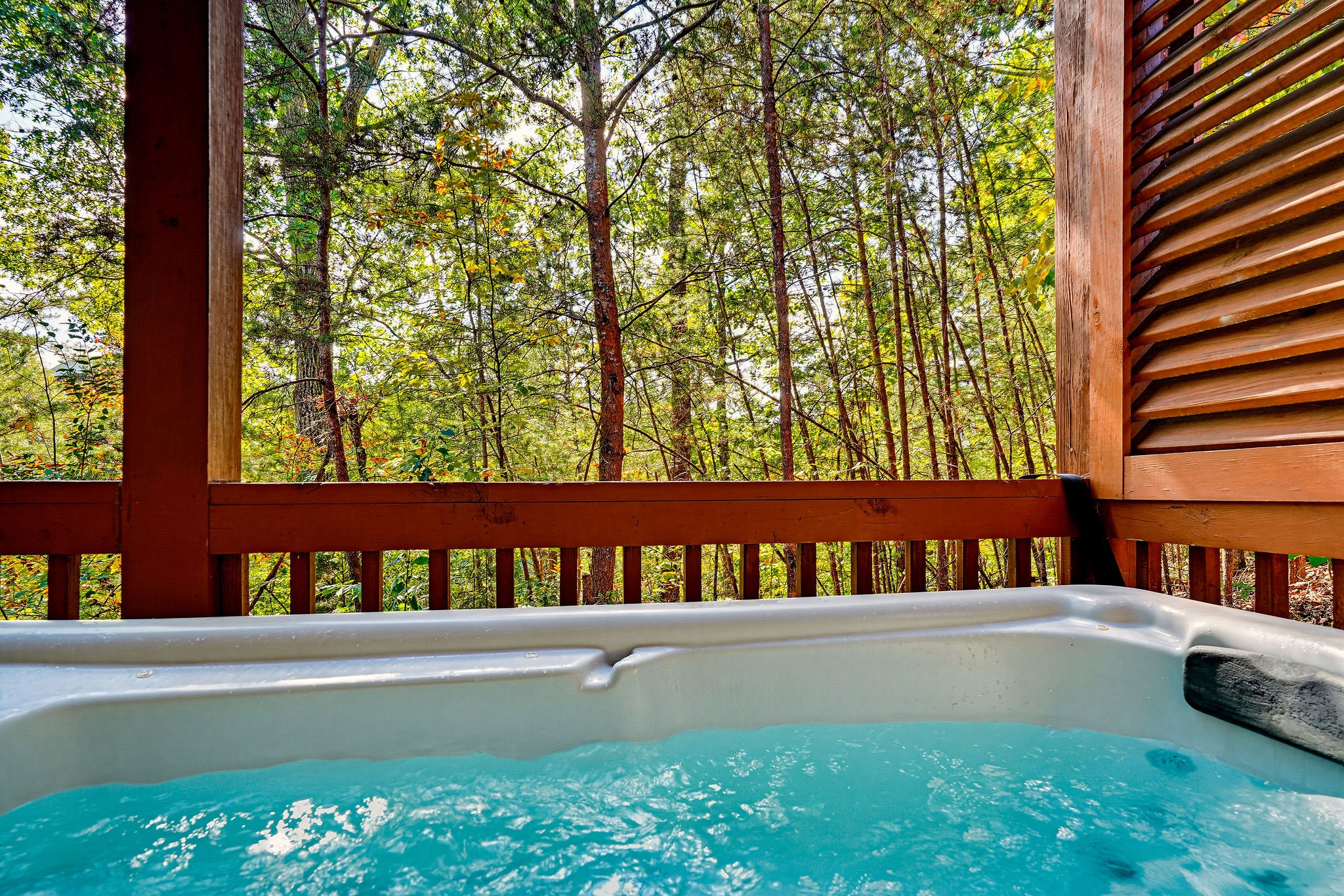 513 Chickasaw Gap Way Property Photo 51