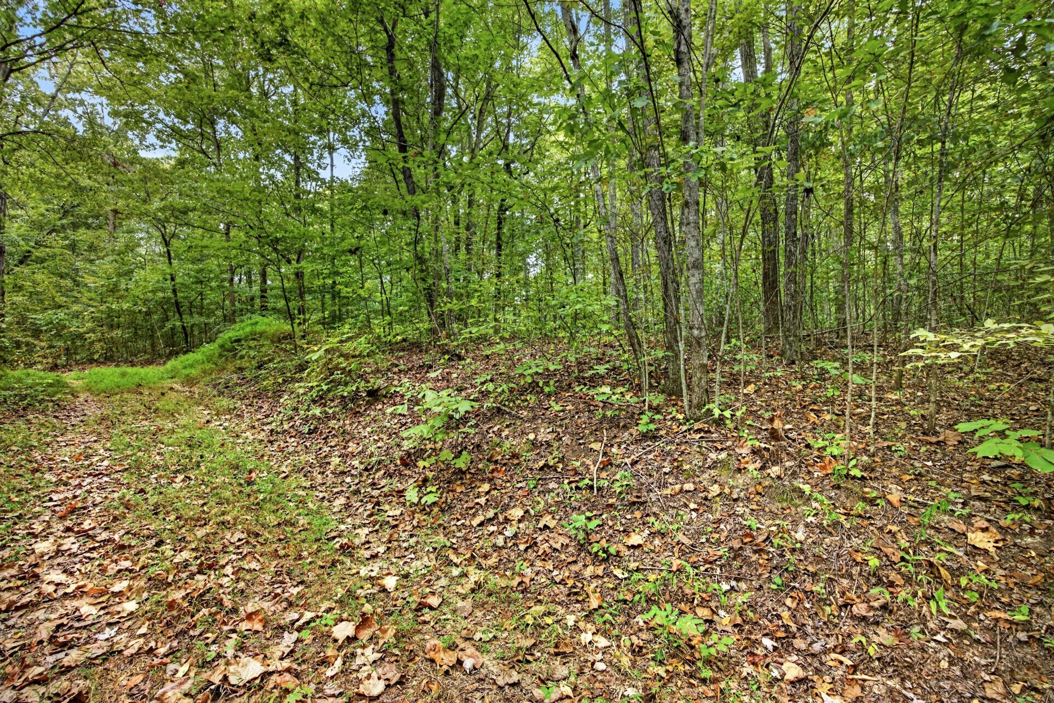 0 Colepin Lane Property Photo 1