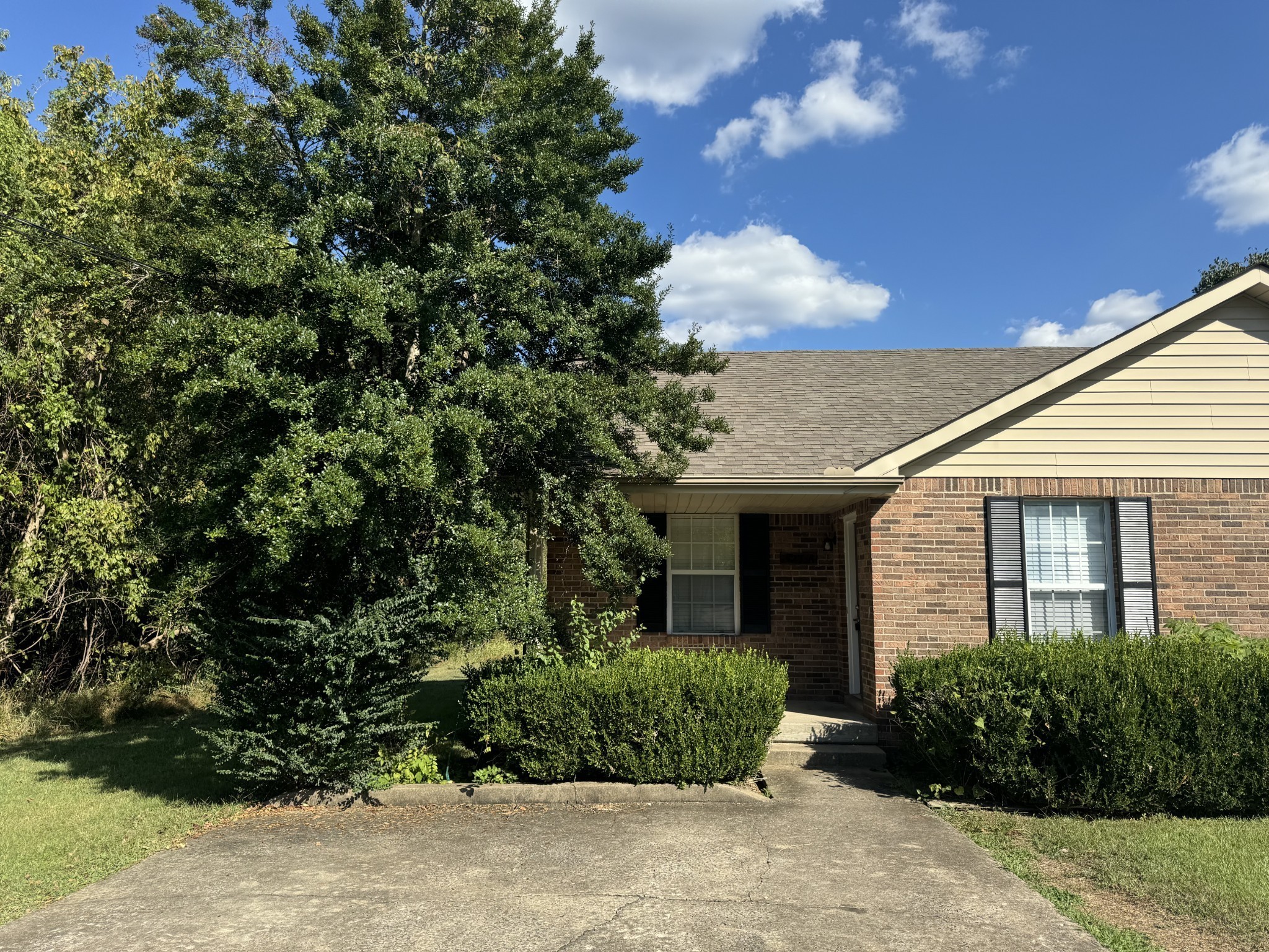 423 Cook Dr Property Photo 2