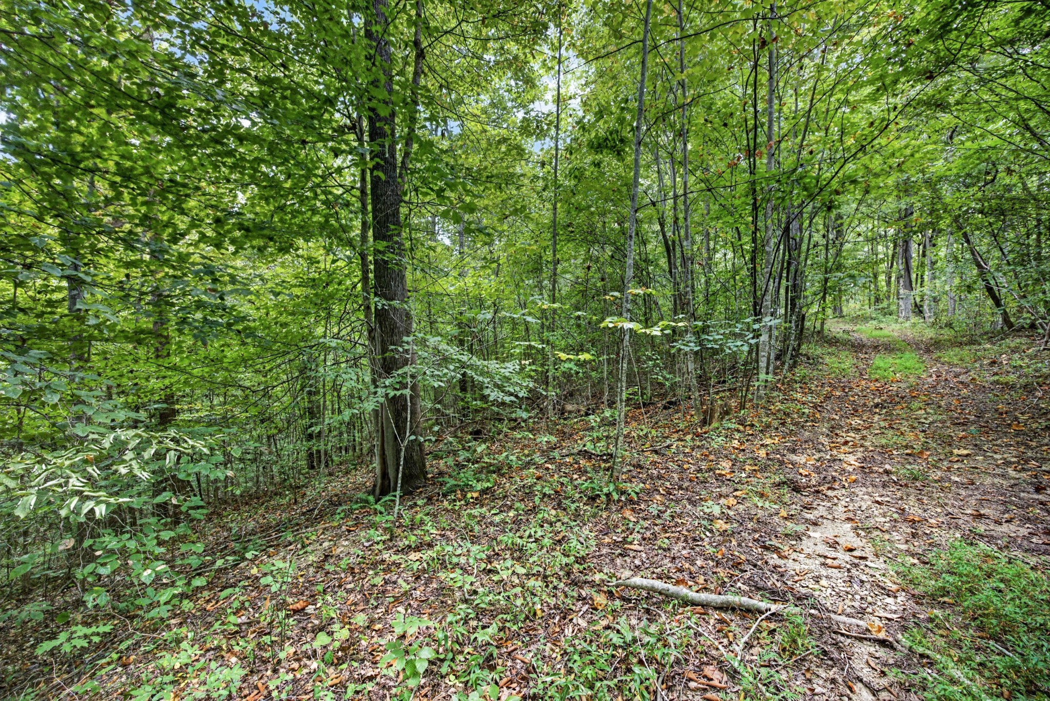 0 Timber Ridge Lane Property Photo 1