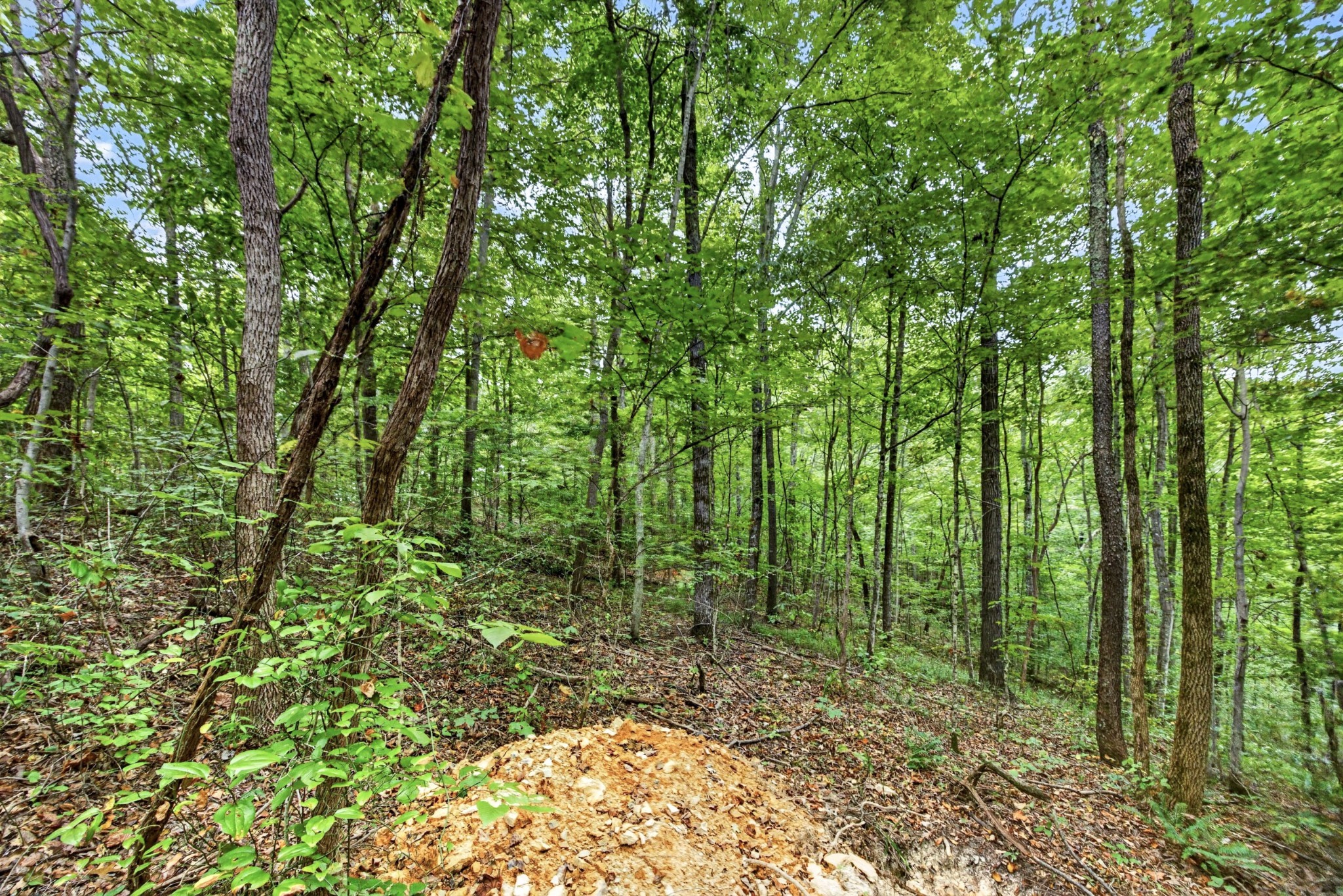 0 Timber Ridge Lane Property Photo 2