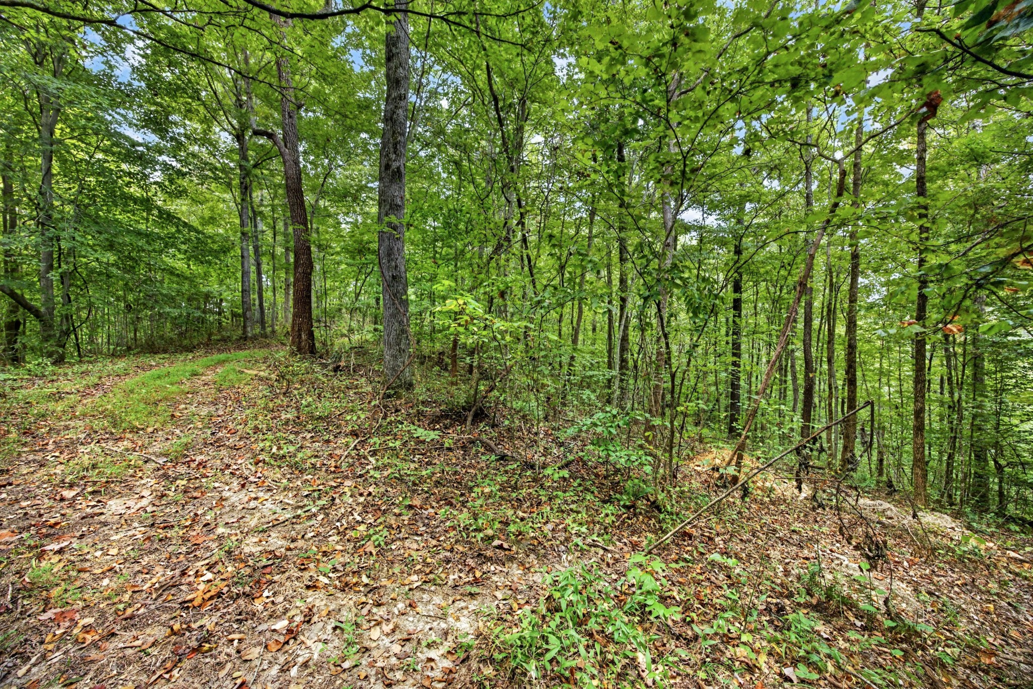 0 Timber Ridge Lane Property Photo 3