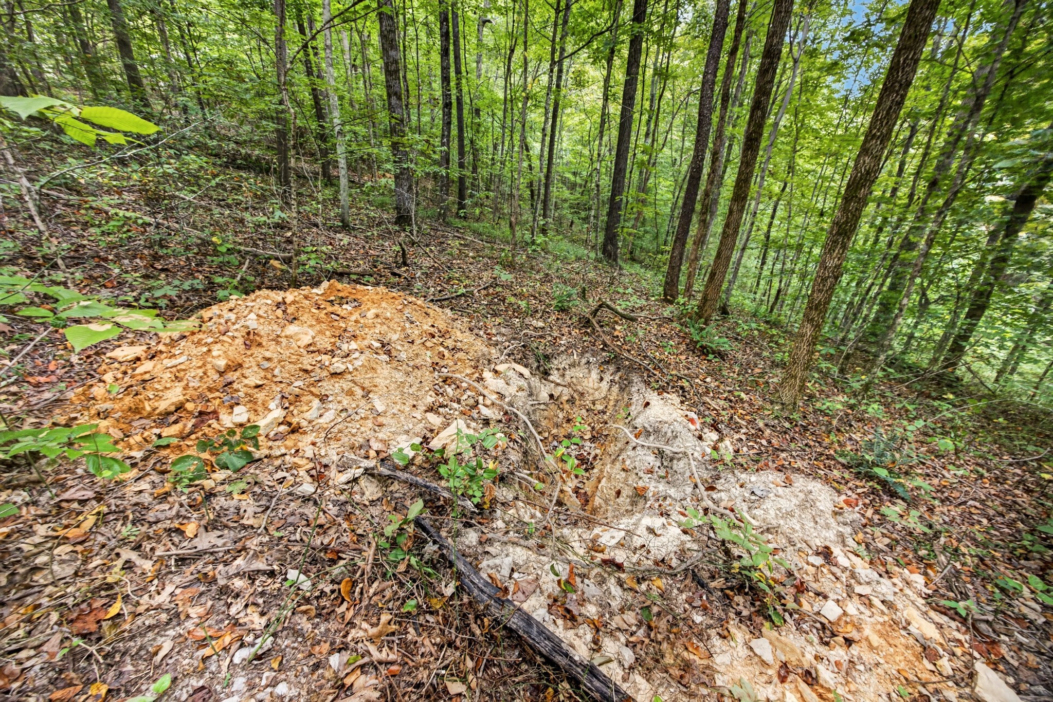 0 Timber Ridge Lane Property Photo 4