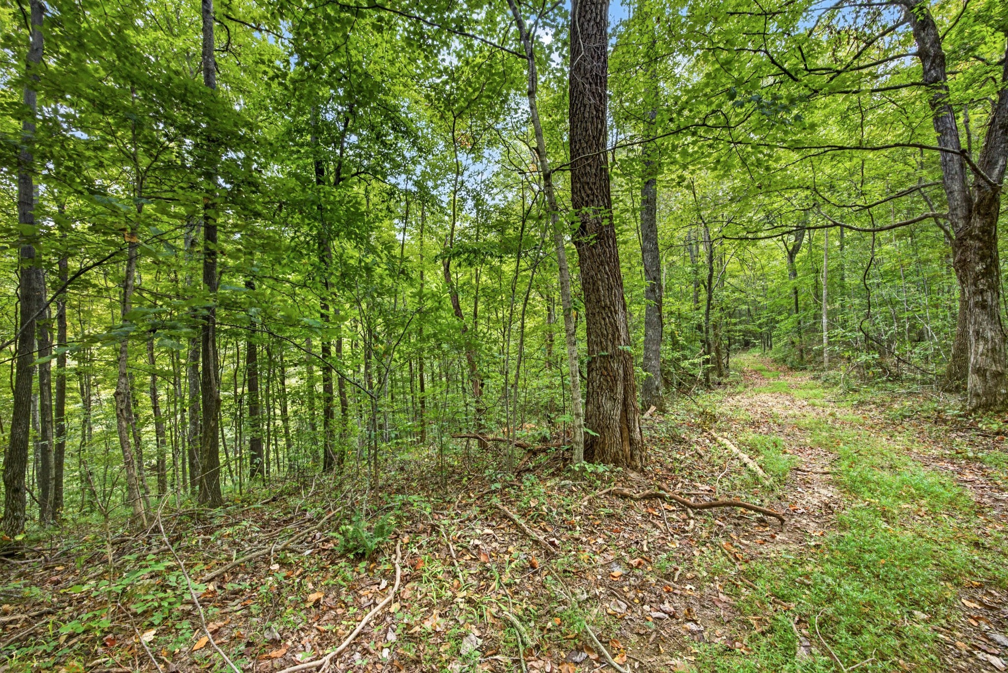 0 Timber Ridge Lane Property Photo 6