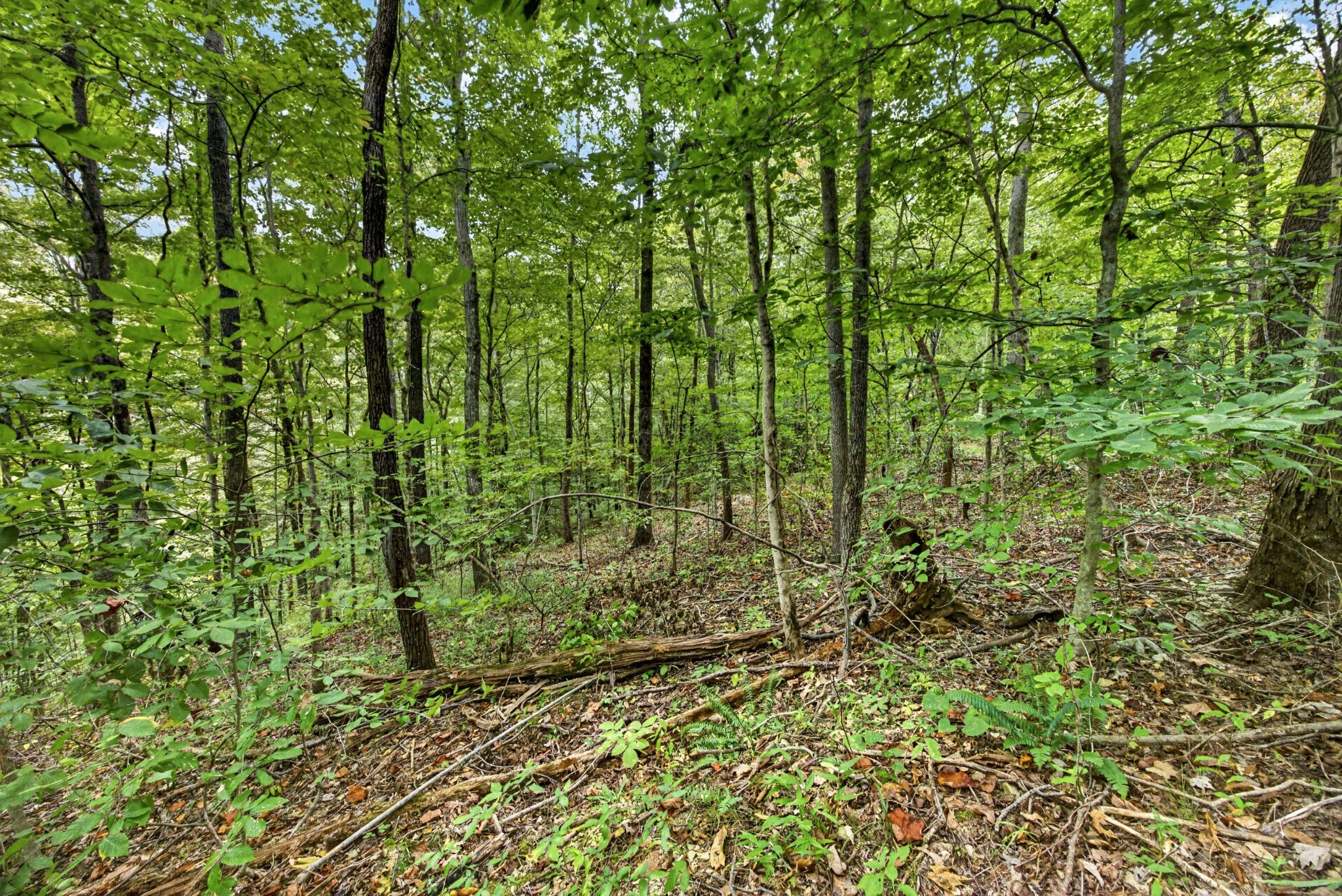 0 Timber Ridge Lane Property Photo 10