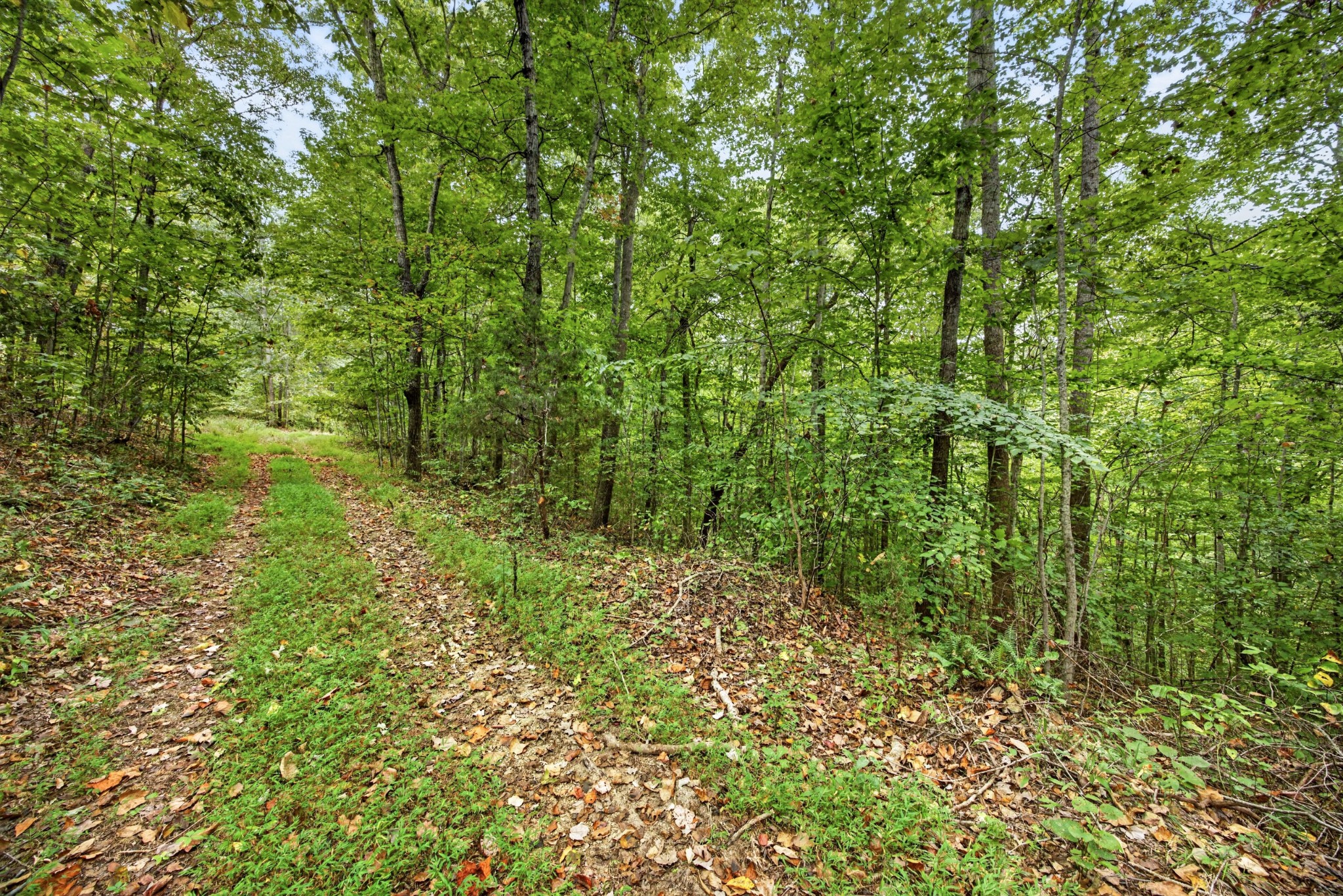 0 Timber Ridge Lane Property Photo 15