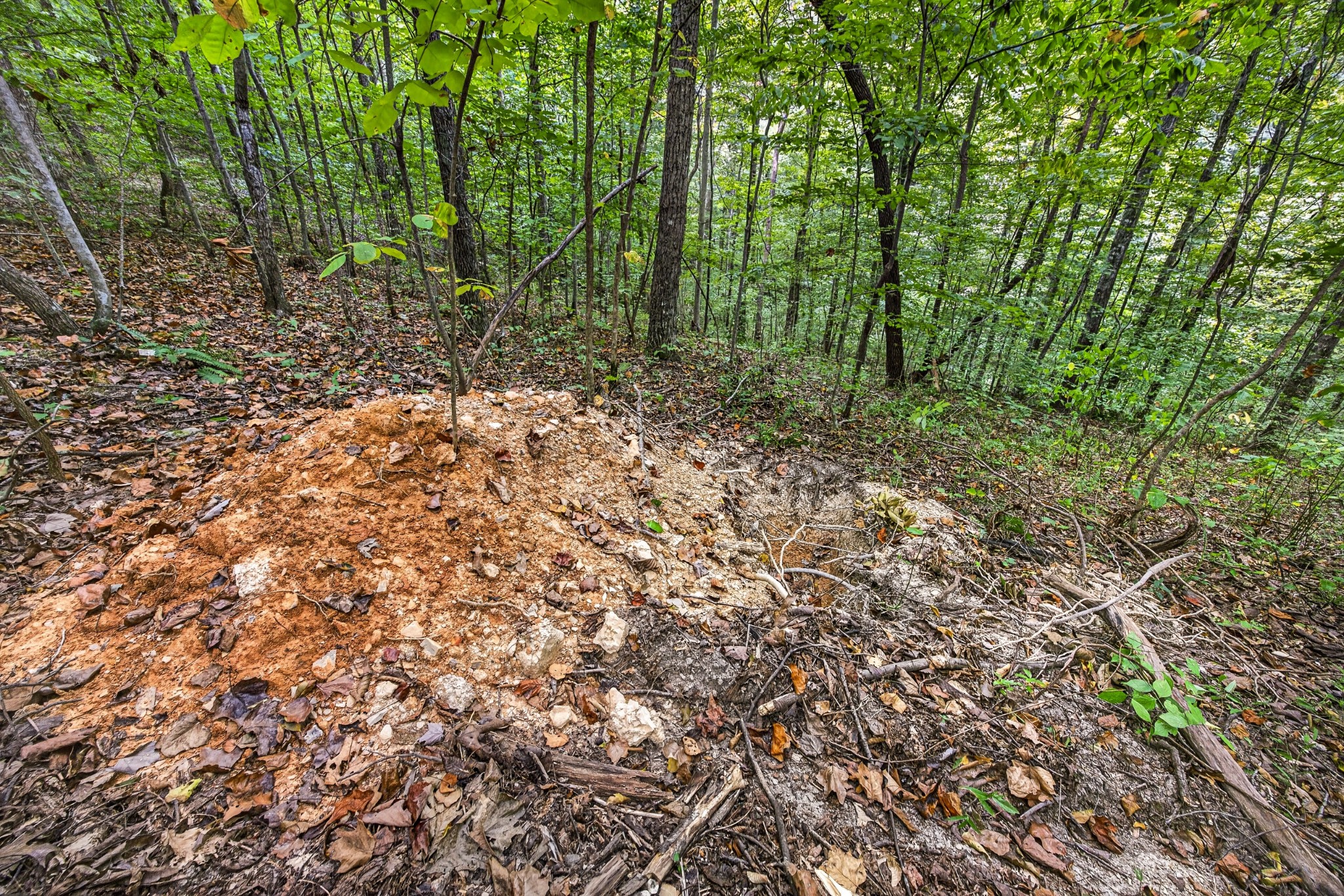 0 Timber Ridge Lane Property Photo 17