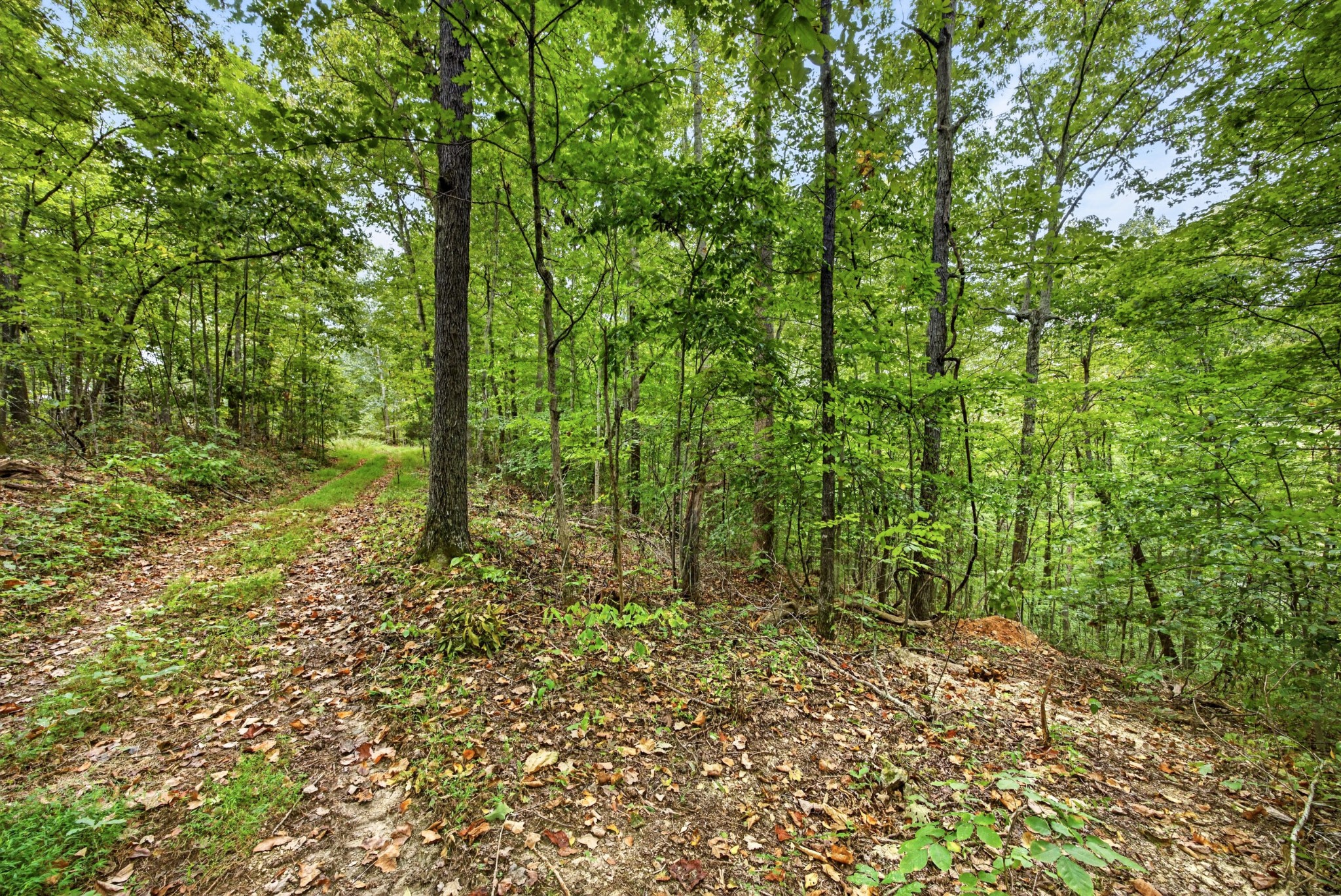 0 Timber Ridge Lane Property Photo 20