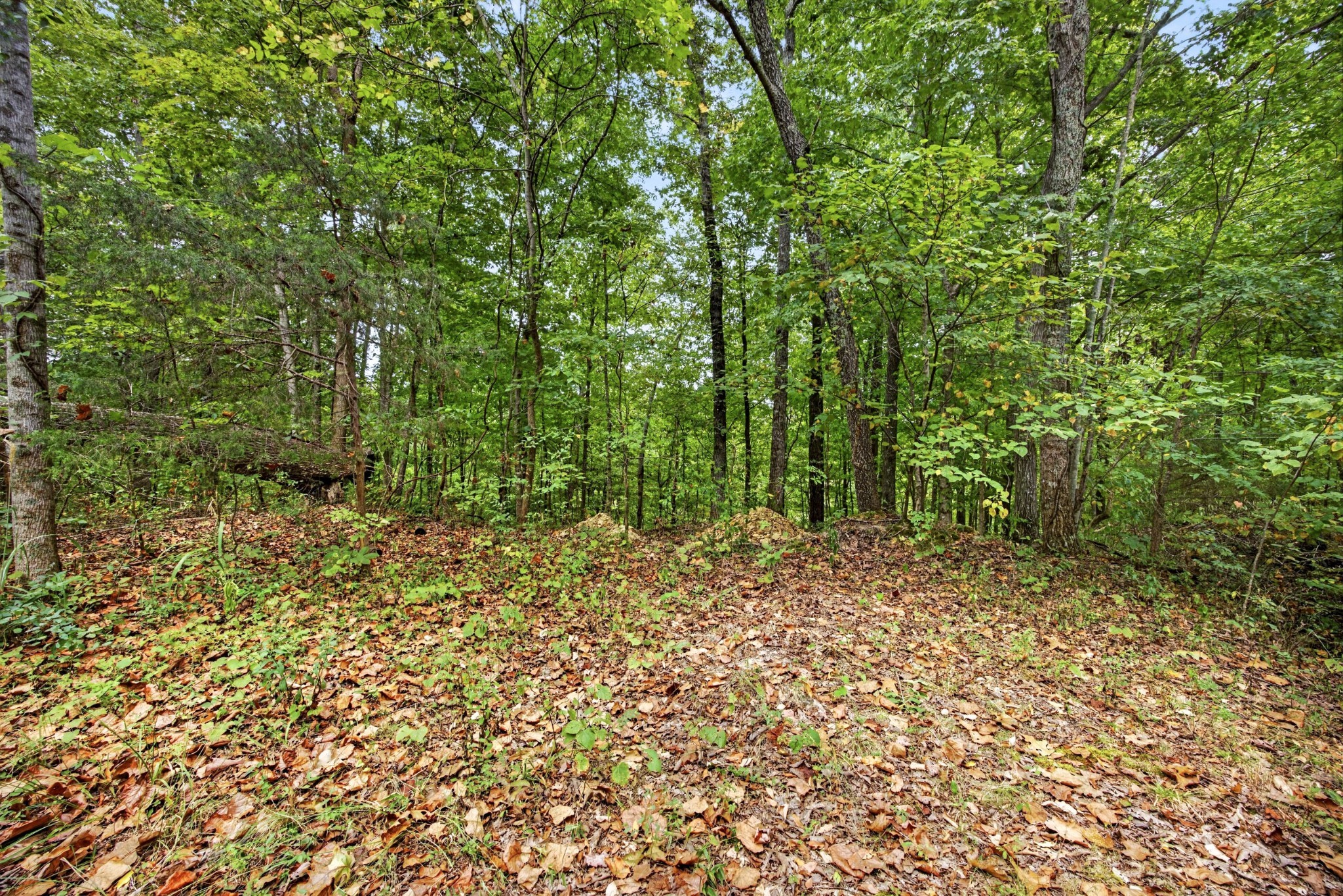 0 Timber Ridge Lane Property Photo 1