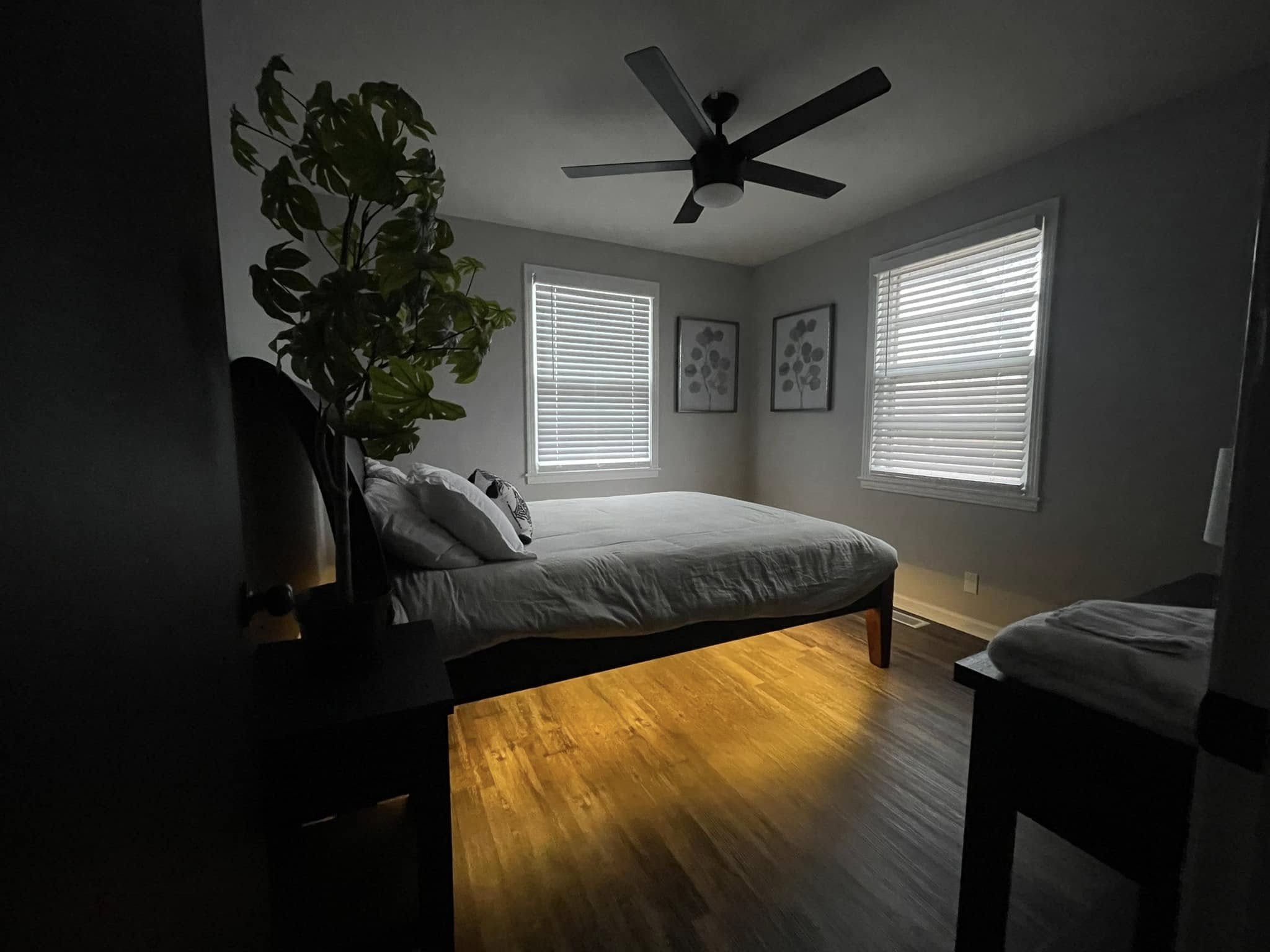 4 Bond St Property Photo 19