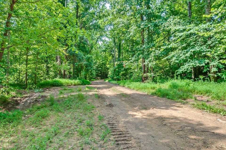 0 Baptist Branch Rd Property Photo 14