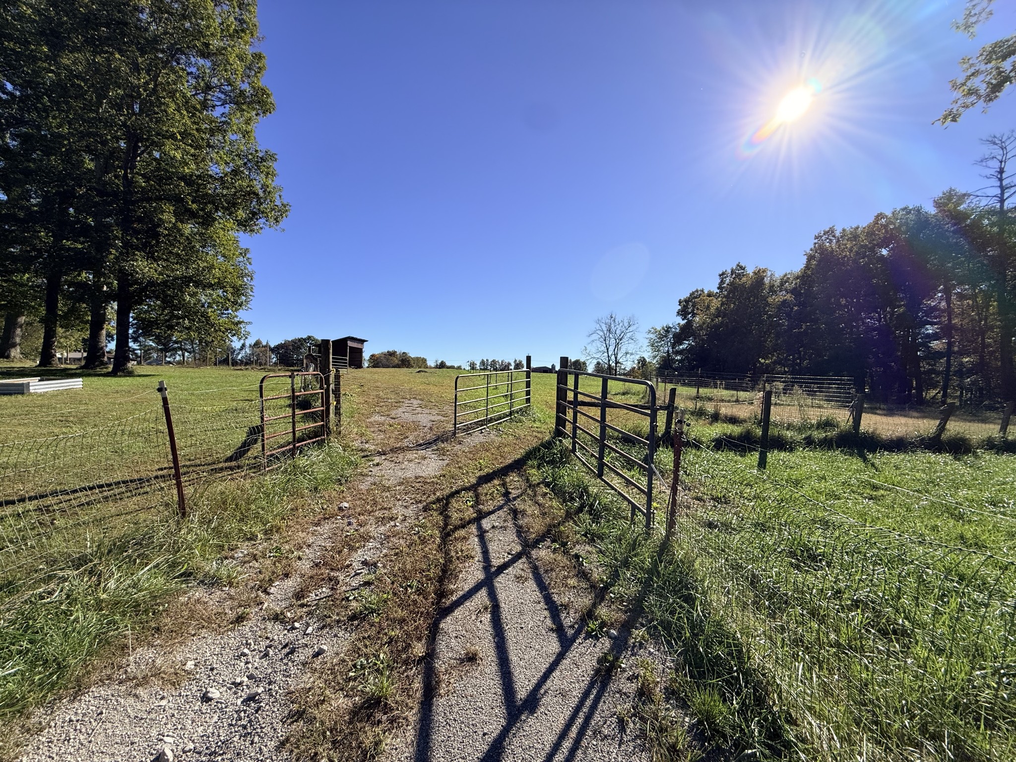 2329 Roslin Rd Property Photo 48