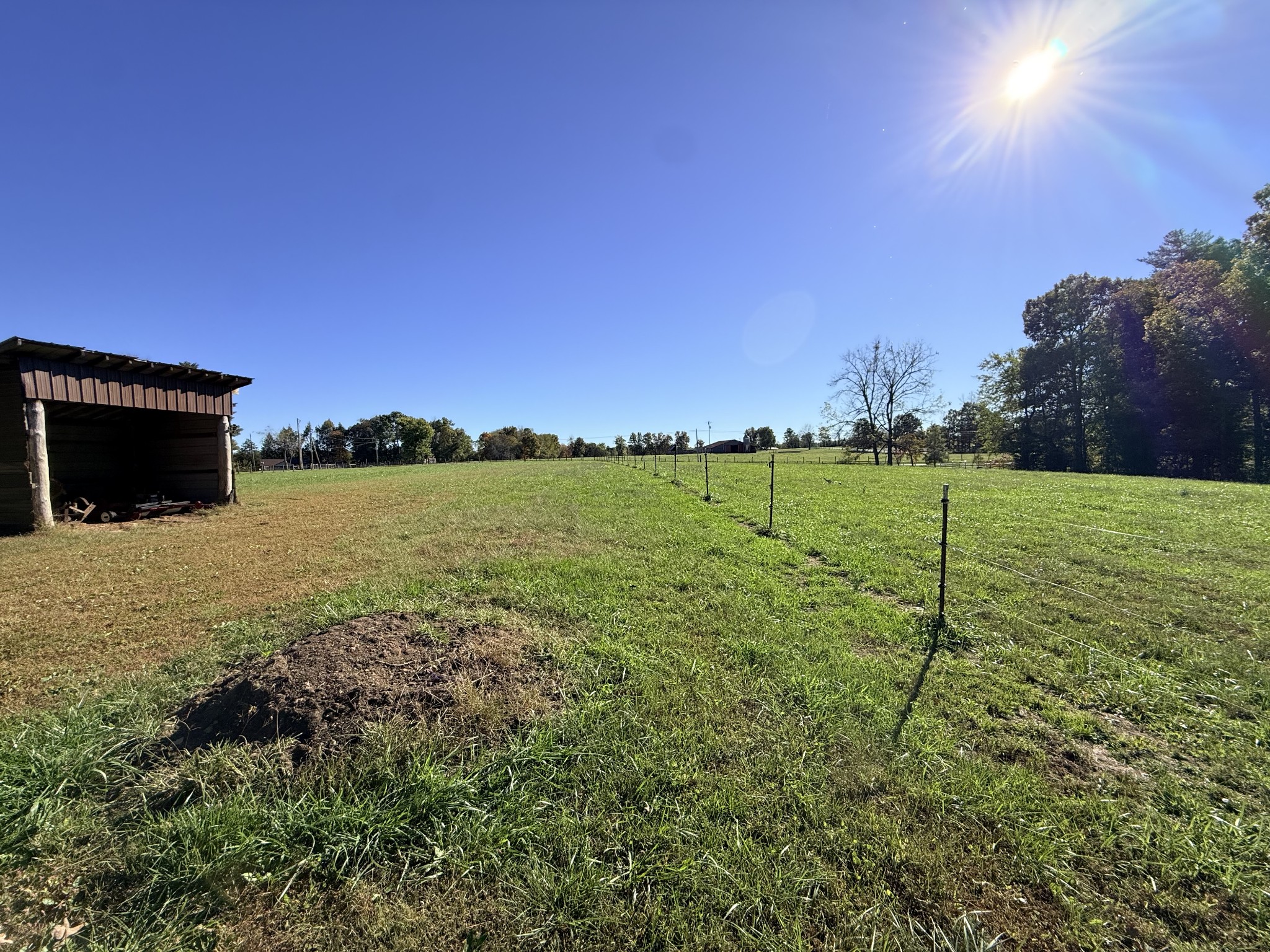 2329 Roslin Rd Property Photo 53