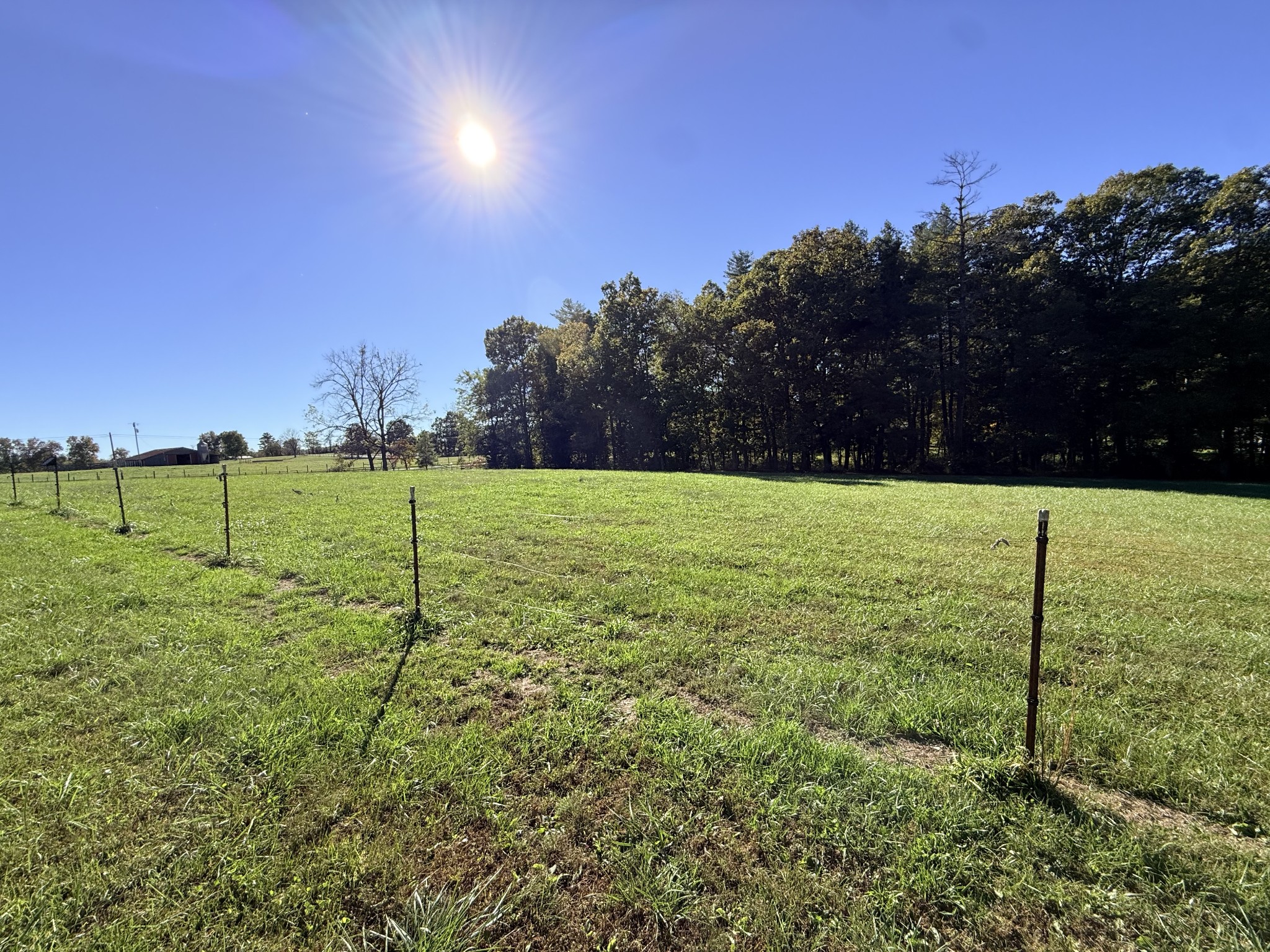 2329 Roslin Rd Property Photo 54
