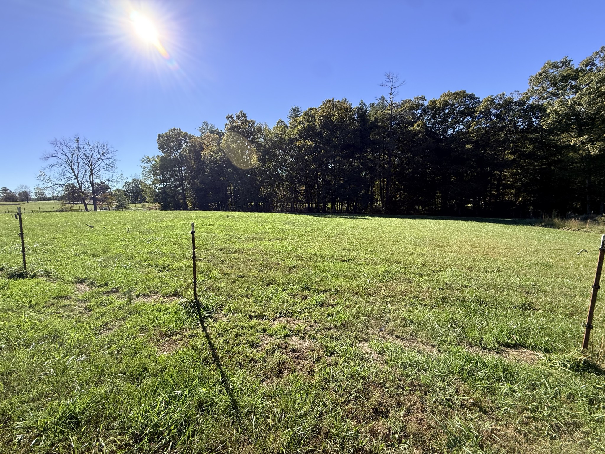 2329 Roslin Rd Property Photo 55
