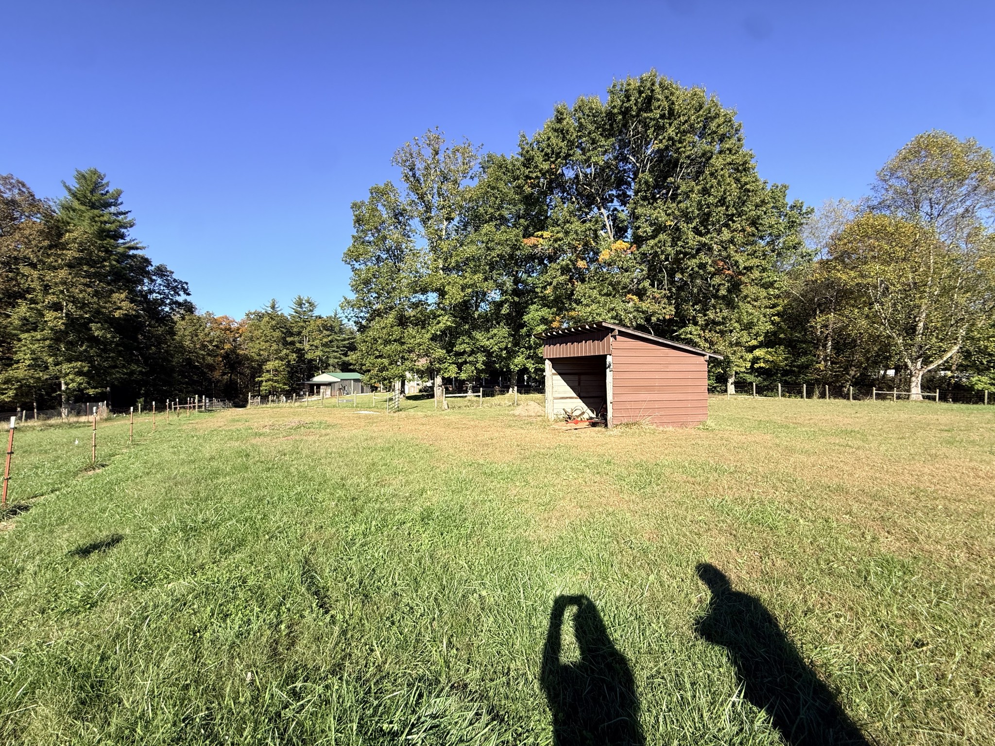 2329 Roslin Rd Property Photo 57