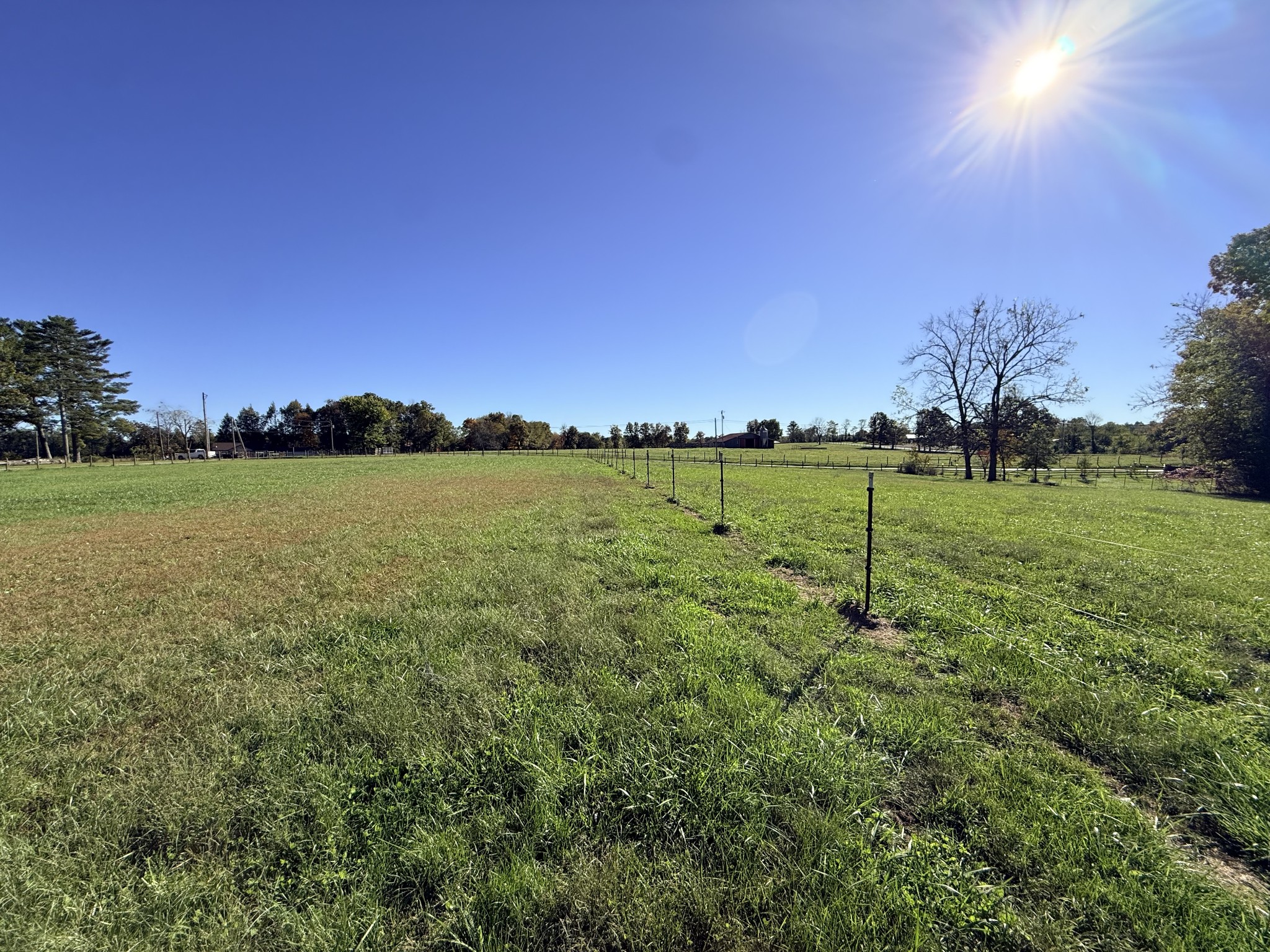 2329 Roslin Rd Property Photo 58