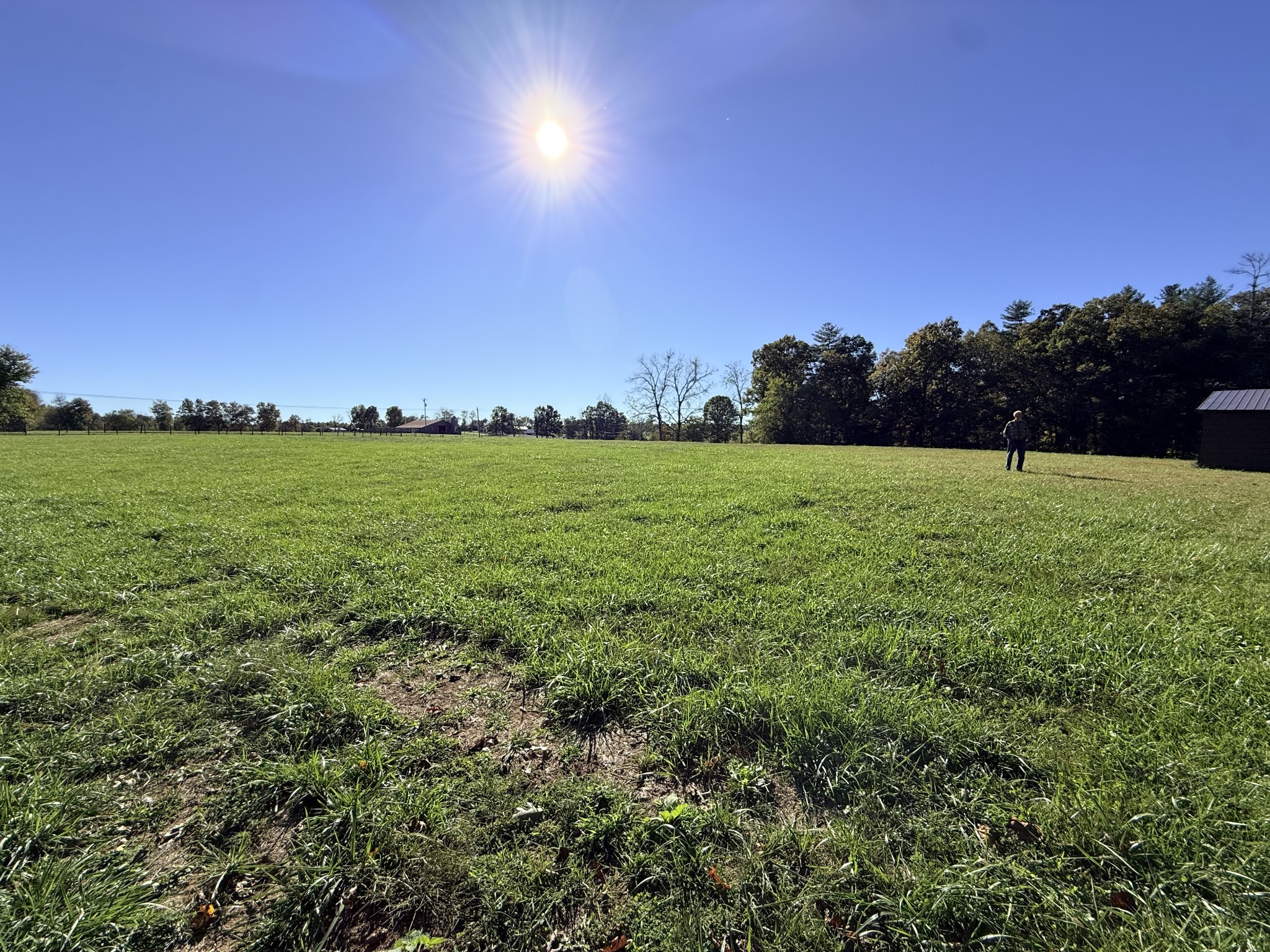2329 Roslin Rd Property Photo 60