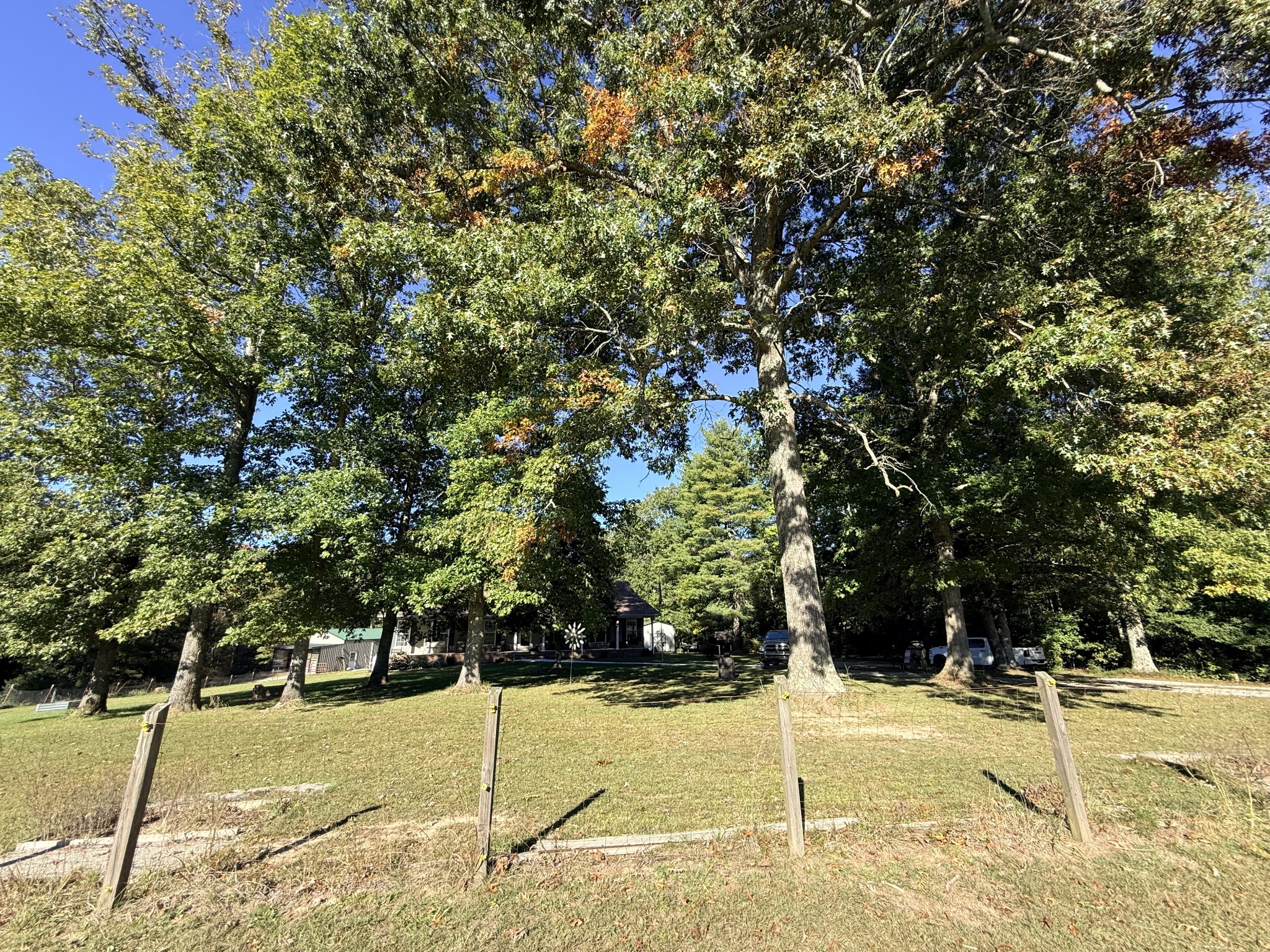 2329 Roslin Rd Property Photo 63