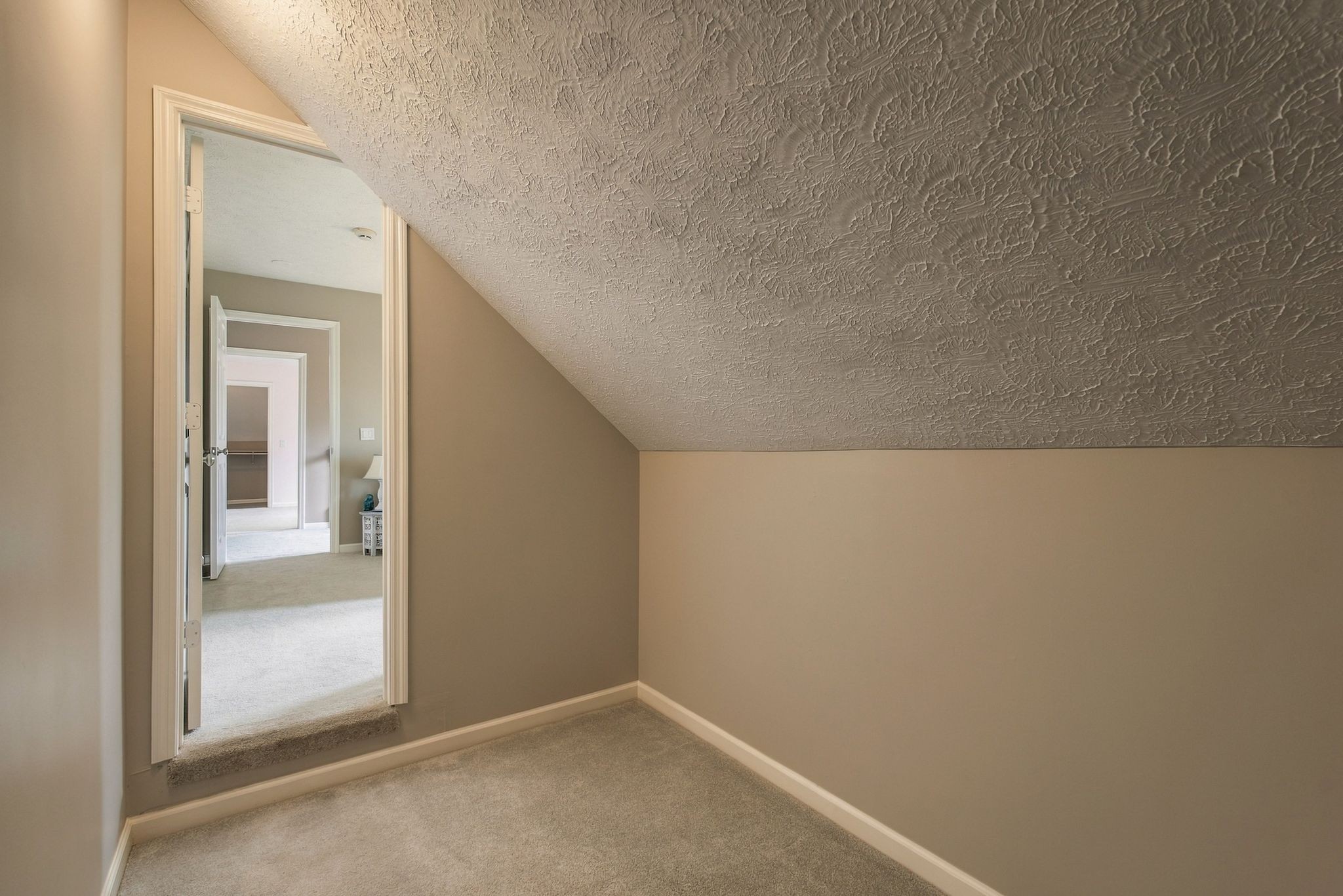 5839 Hickory Ridge Rd Property Photo 21