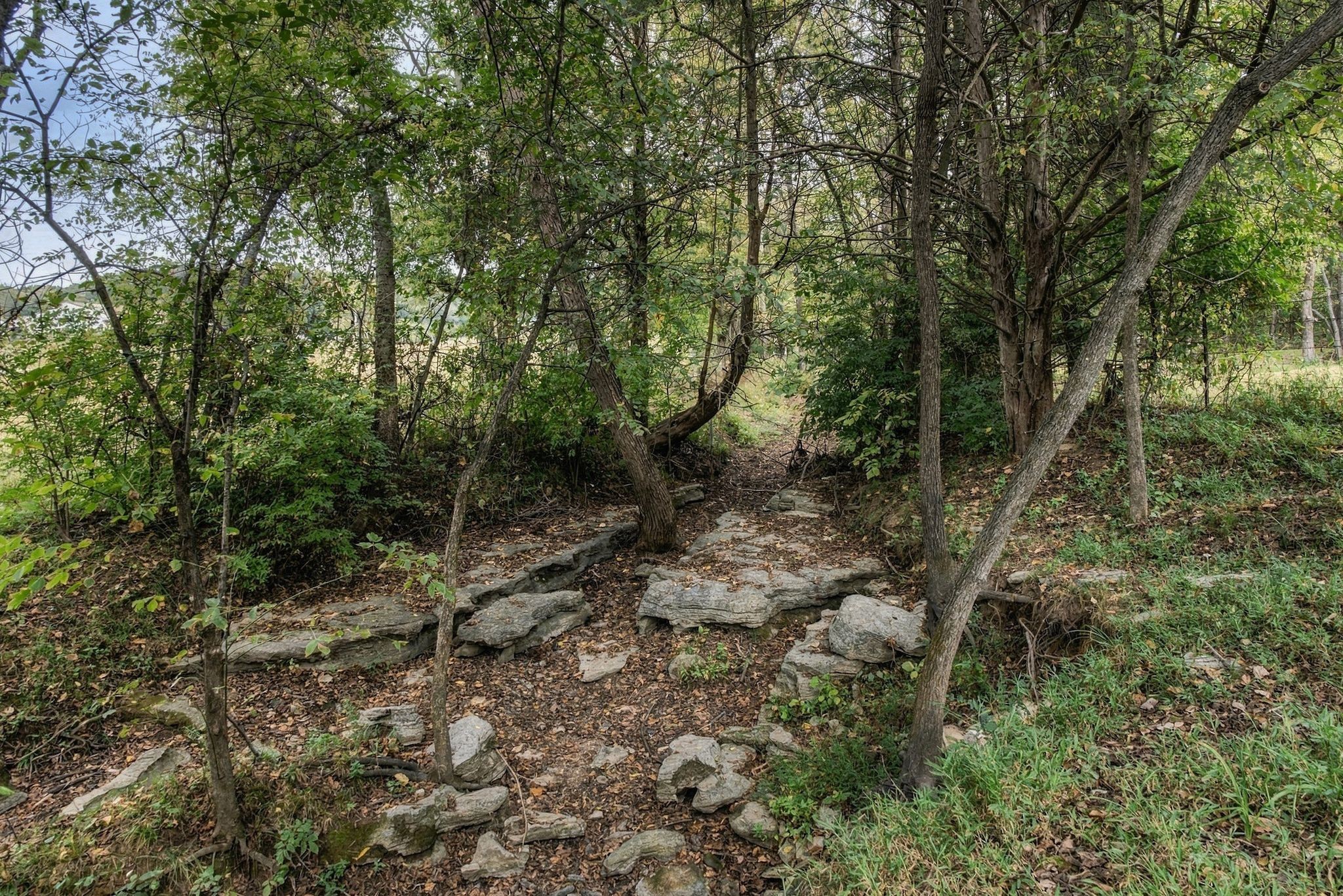 5839 Hickory Ridge Rd Property Photo 50