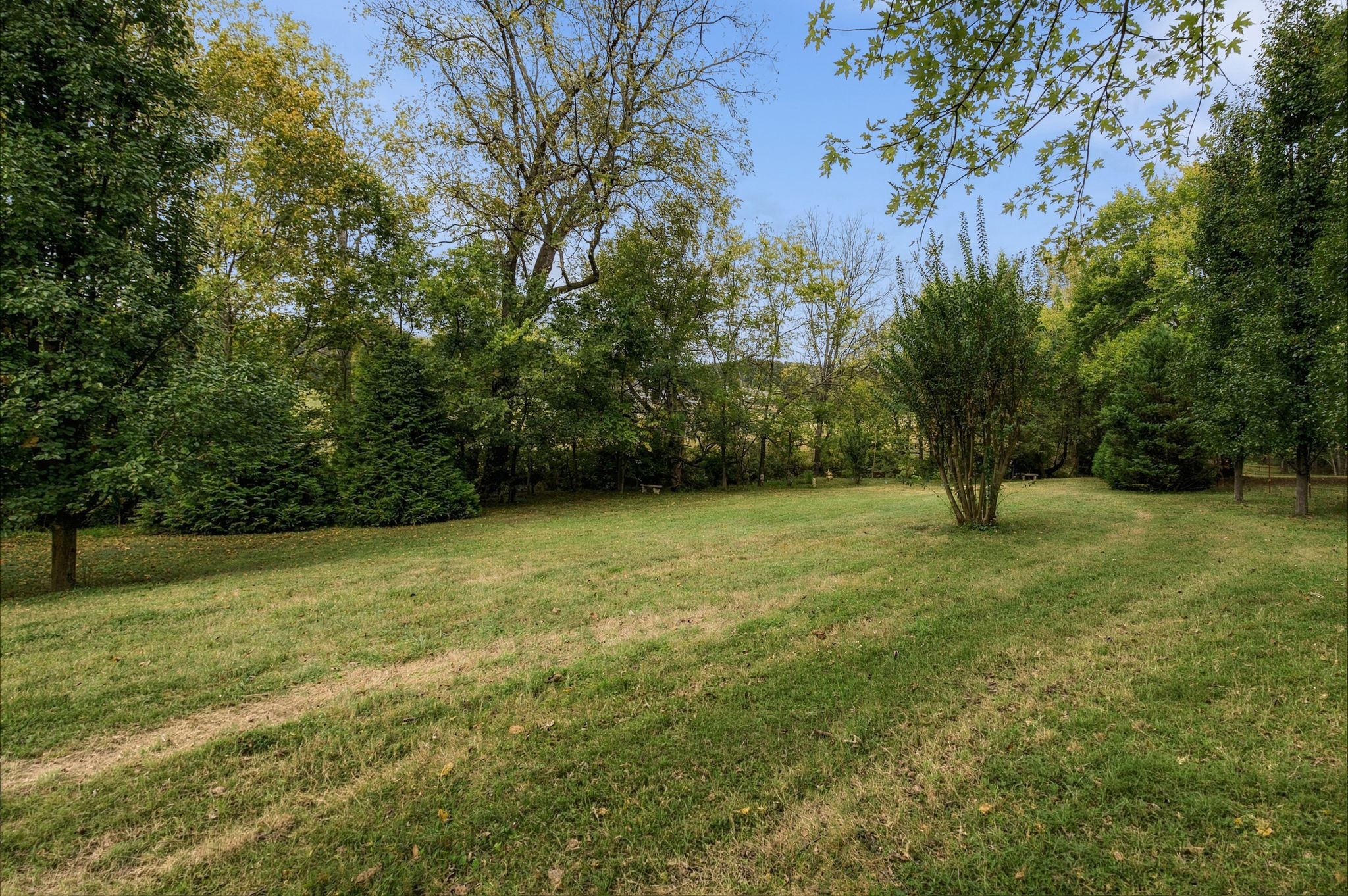5839 Hickory Ridge Rd Property Photo 51