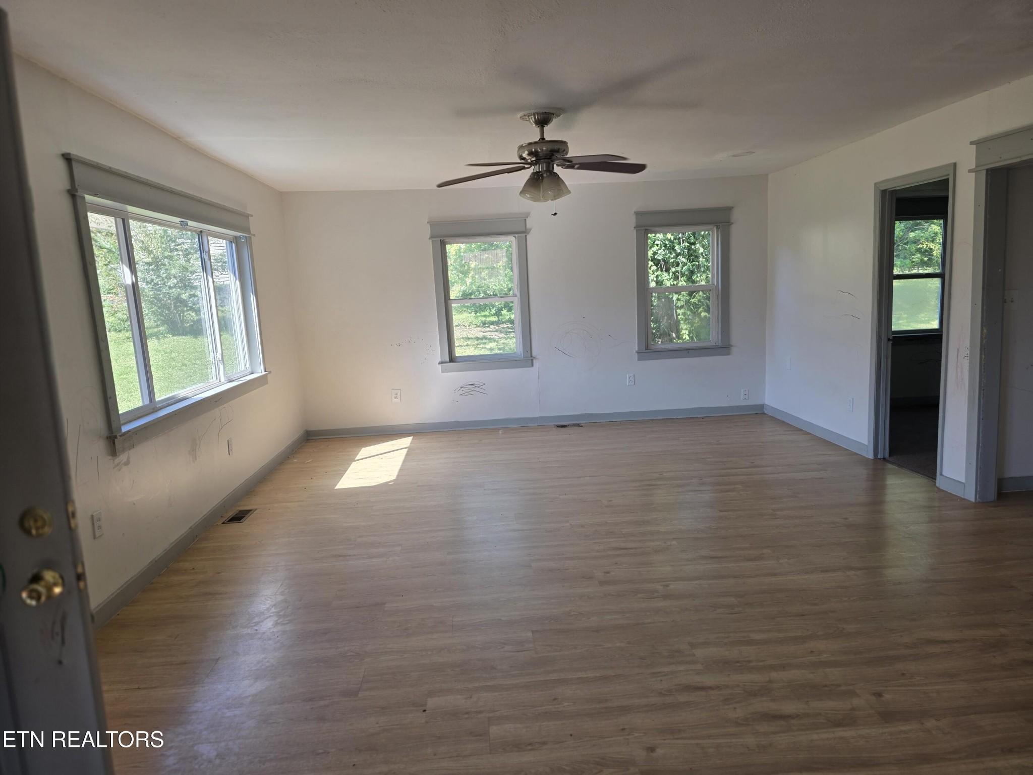 3906 Luwana Lane Property Photo 11