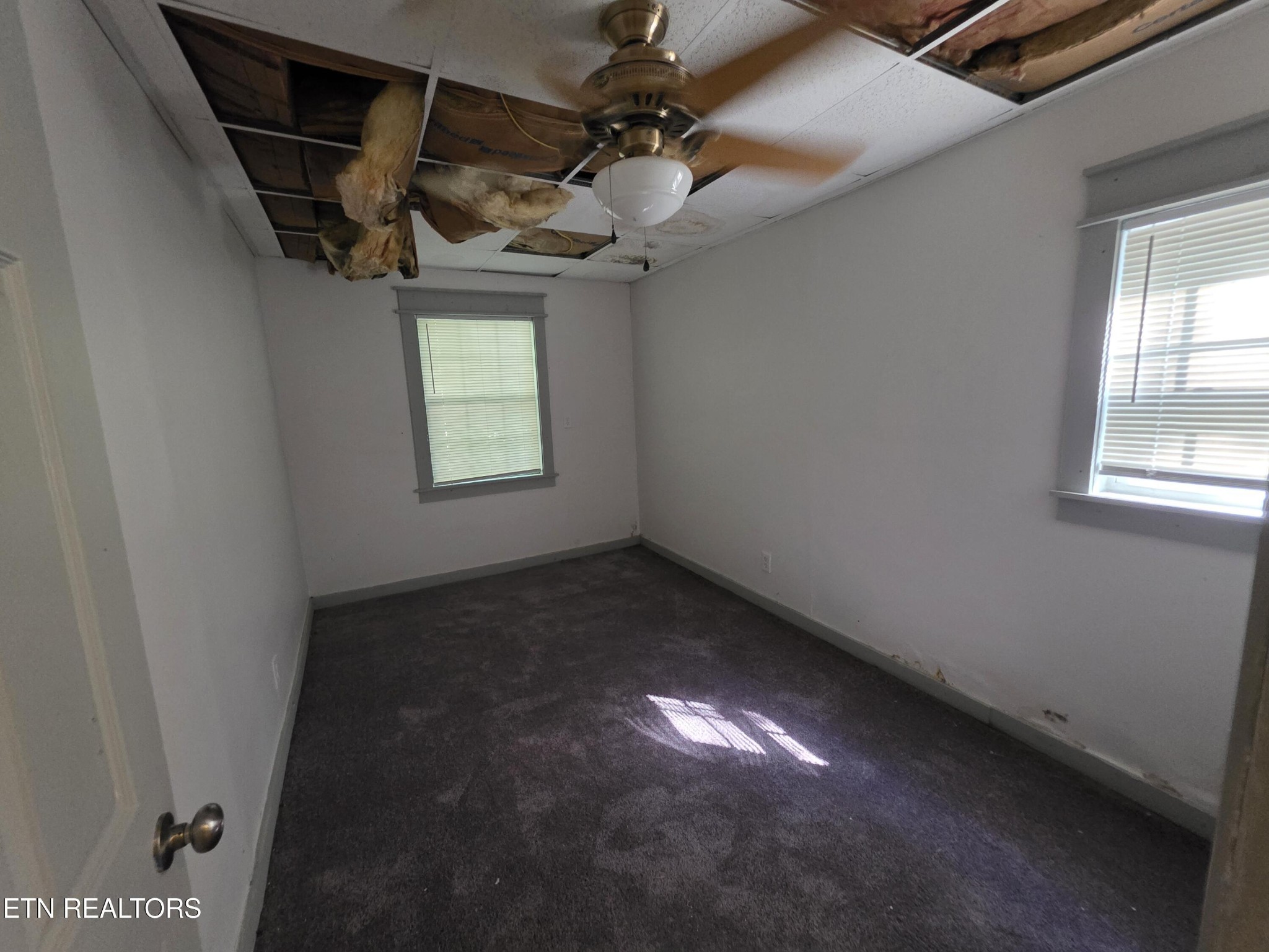3906 Luwana Lane Property Photo 14