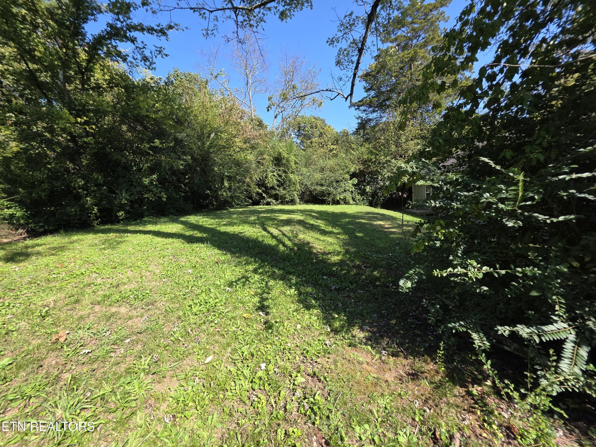 3906 Luwana Lane Property Photo 19