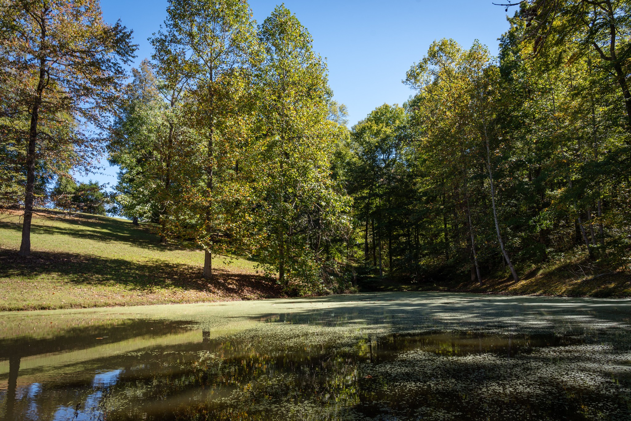 4325 Cave Springs Rd Property Photo 4