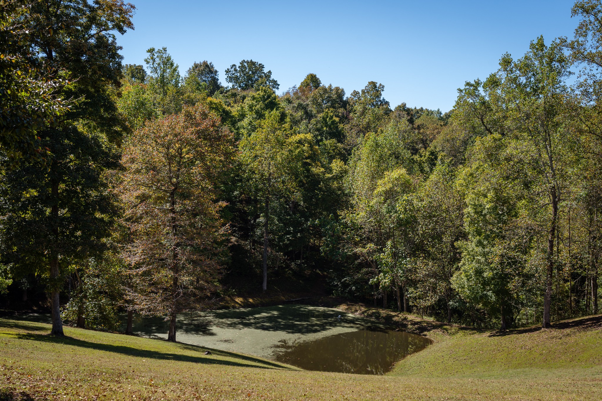 4325 Cave Springs Rd Property Photo 11