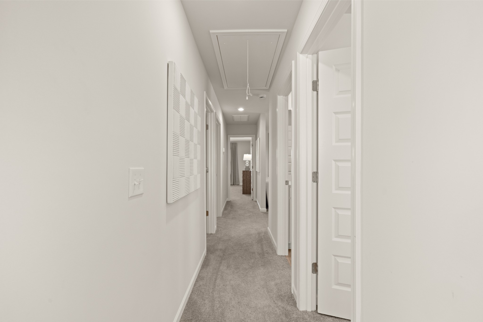2036 Mossy Creek Hollow Lane Property Photo 43