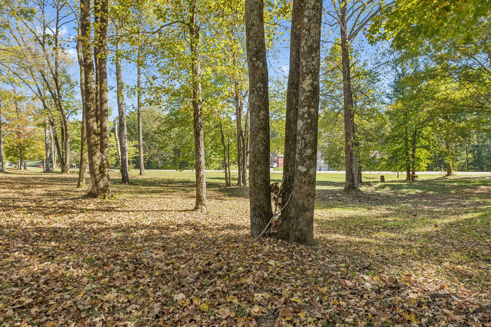 538 Old Highway 70 4 Property Photo 32