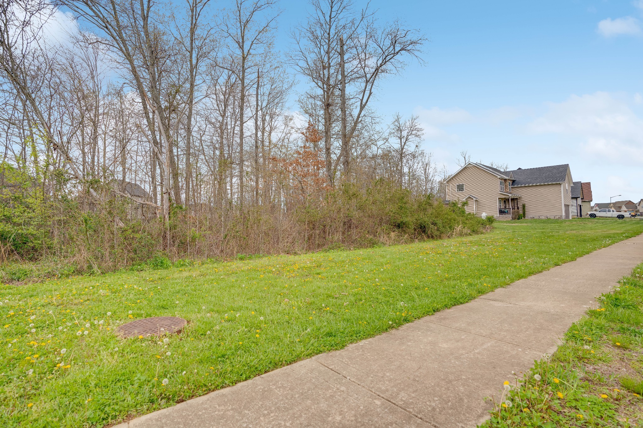 3654 Fox Tail Dr Property Photo 26
