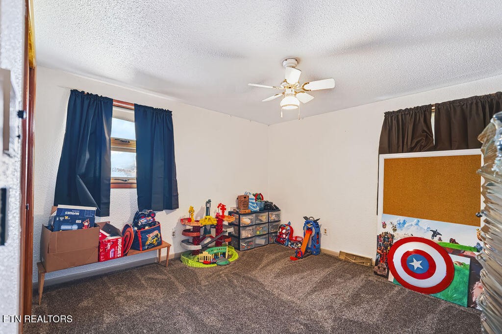 236 Mountain Vista Drive Property Photo 29