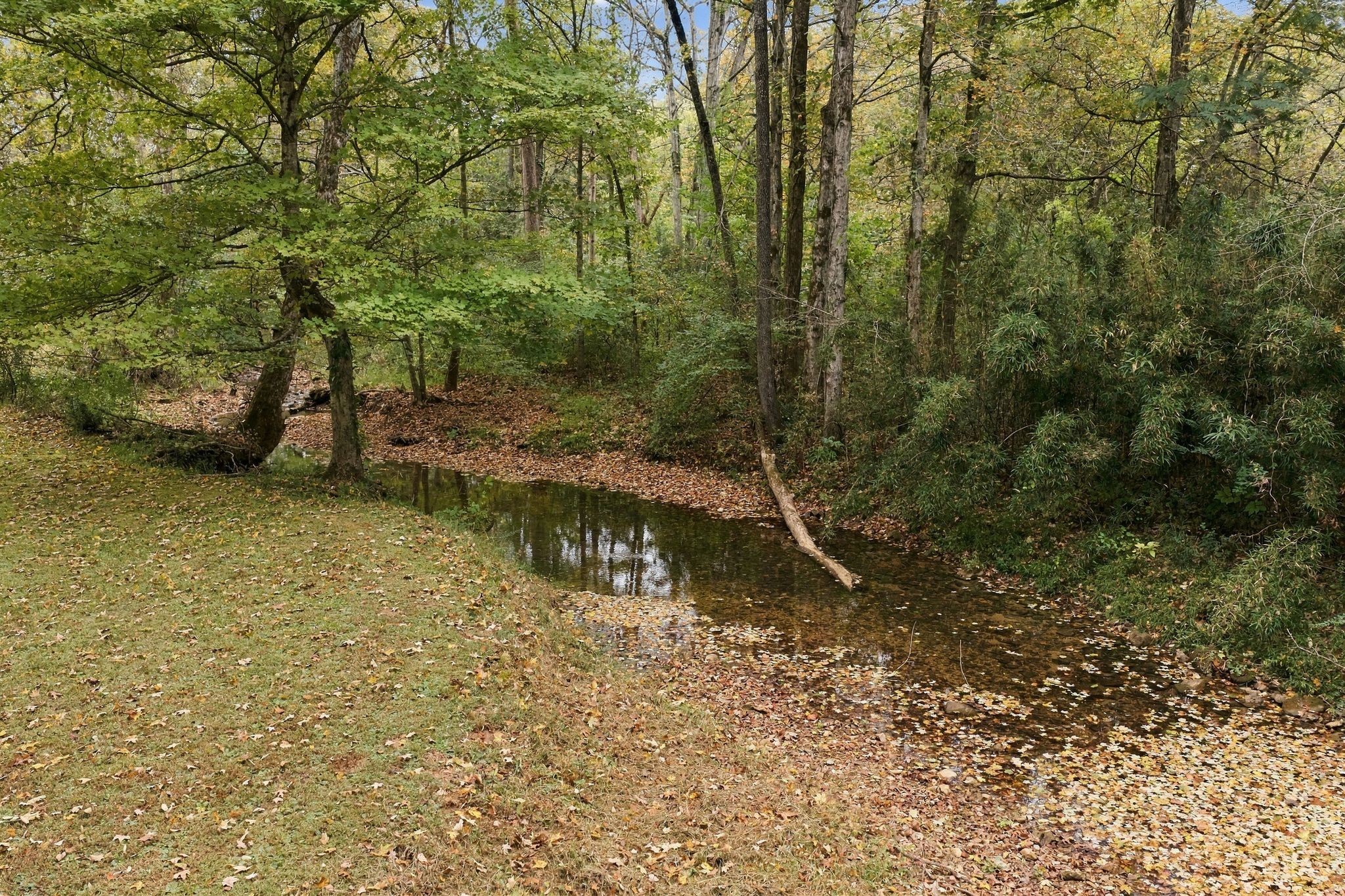 1437 Turkey Creek Road Property Photo 32