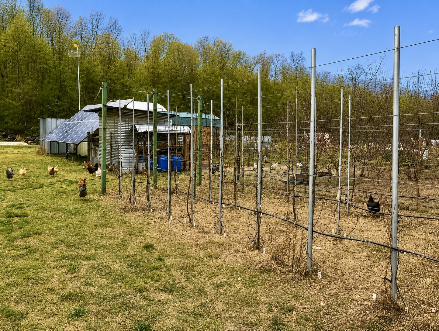 2071 Deer Creek Rd Property Photo 17