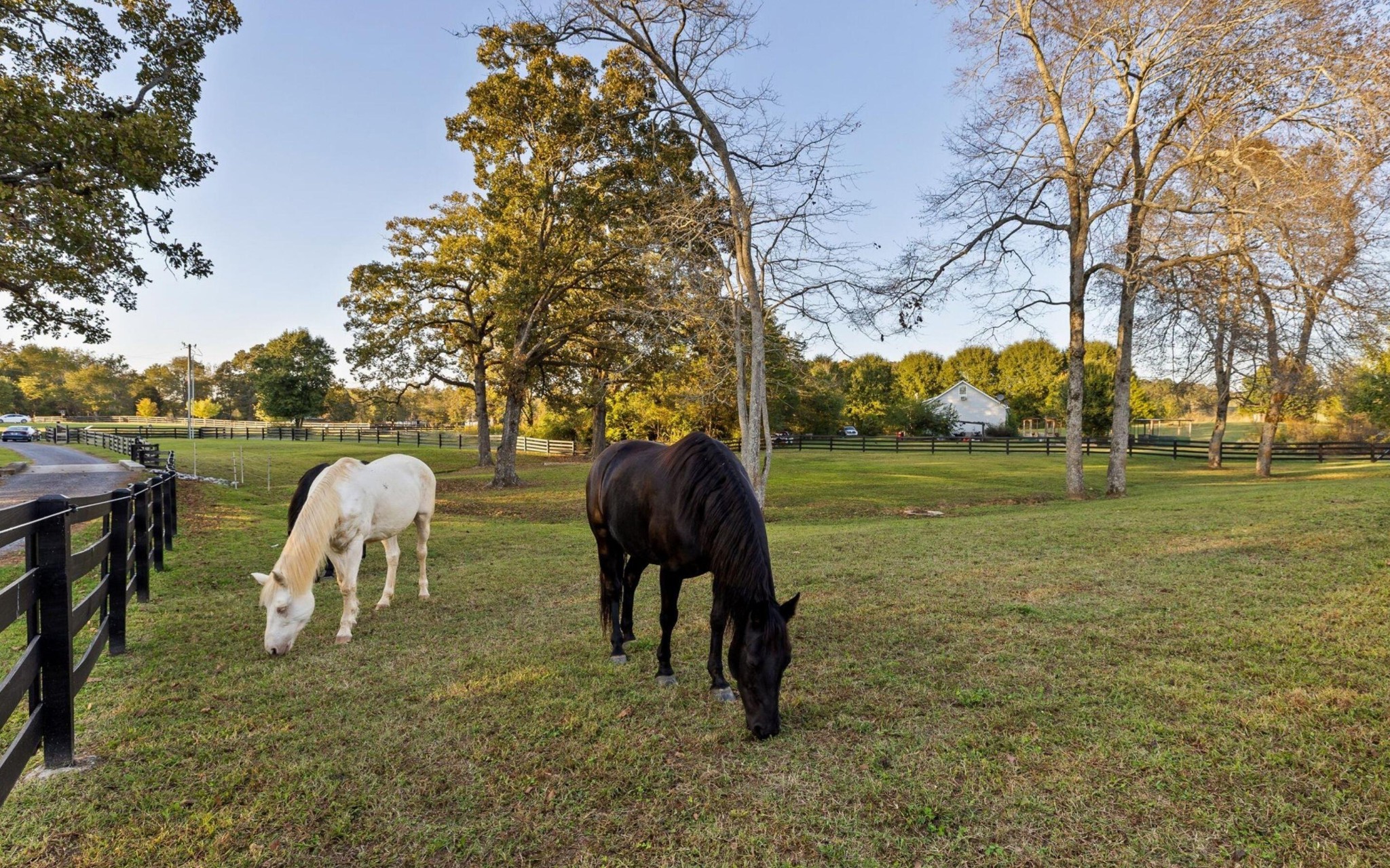 12766 Birchwood Pike Property Photo 51