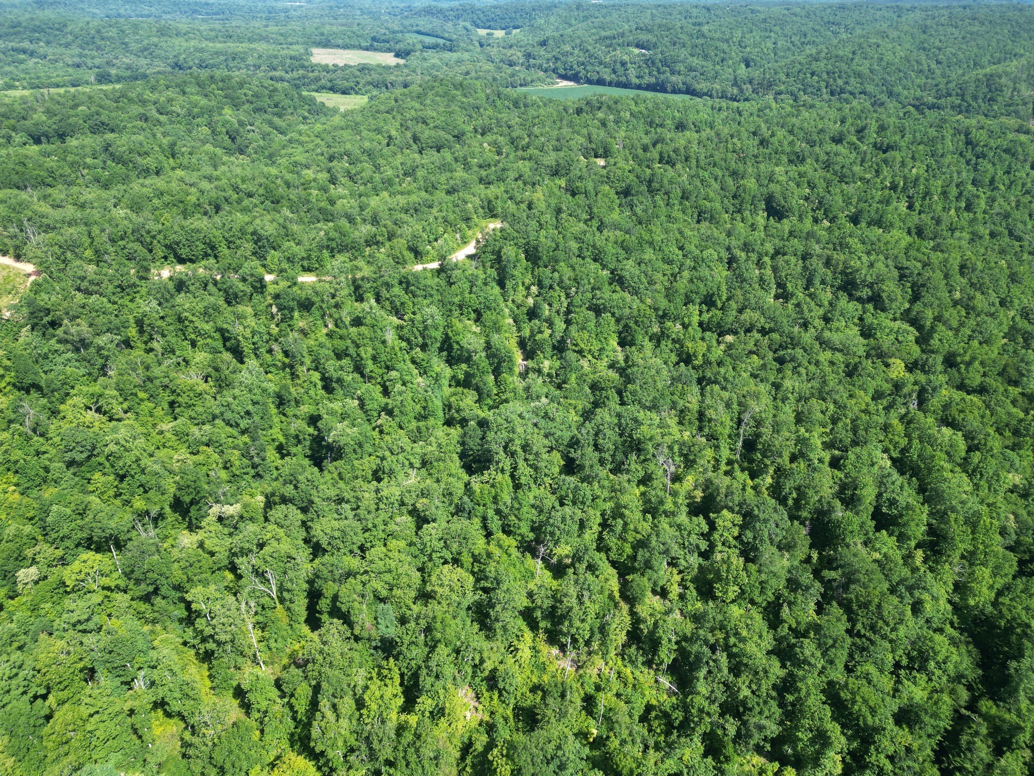 0b Black Bear Rd Property Photo 3