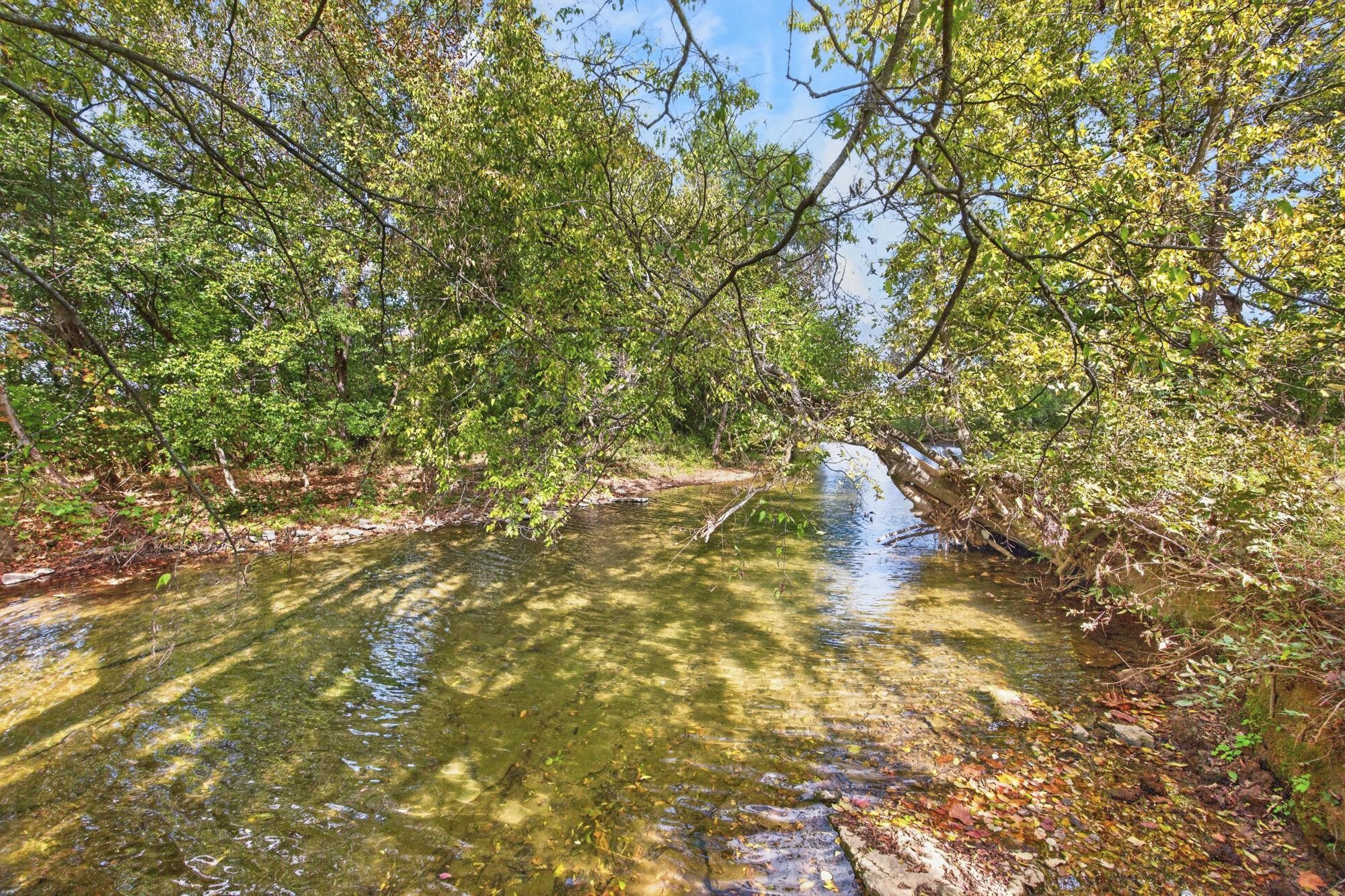 1417 Drakes Creek Rd Property Photo 47
