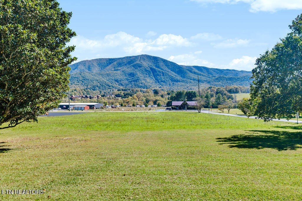 3114 Wearwood Drive Property Photo 4