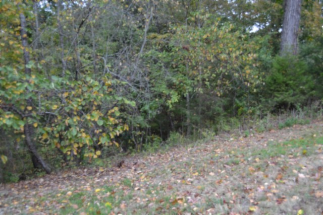 128 Cummins Ct Property Photo 11
