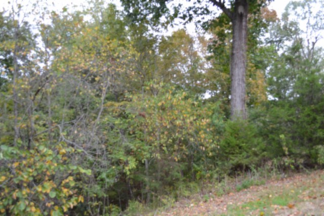 128 Cummins Ct Property Photo 12