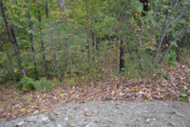 128 Cummins Ct Property Photo 14