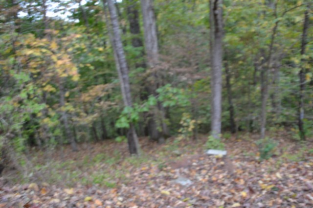 128 Cummins Ct Property Photo 16
