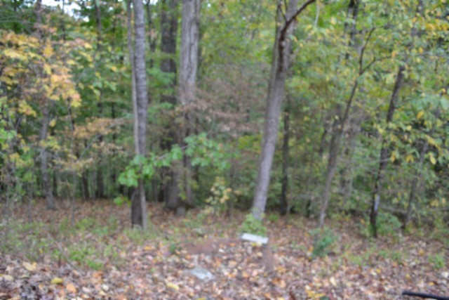 128 Cummins Ct Property Photo 17
