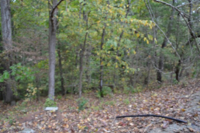 128 Cummins Ct Property Photo 18
