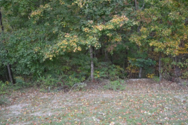 128 Cummins Ct Property Photo 21