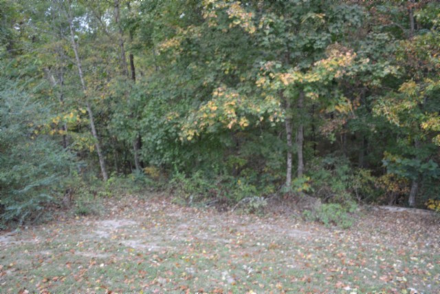 128 Cummins Ct Property Photo 22