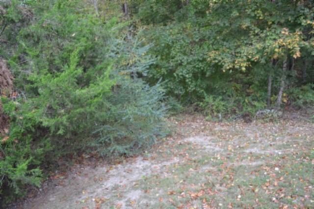 128 Cummins Ct Property Photo 24